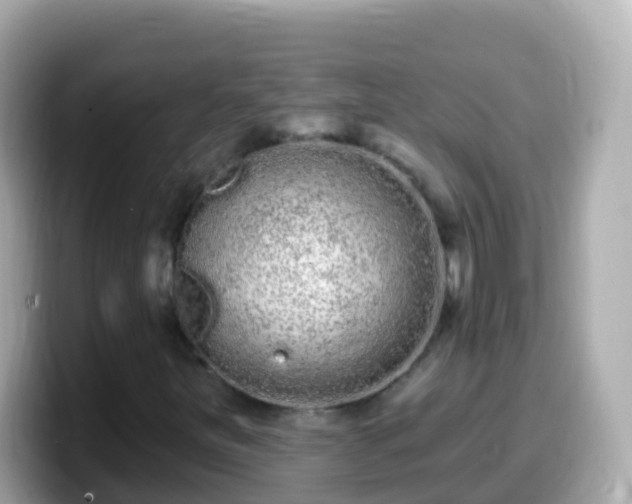 X0000099581251200805231544