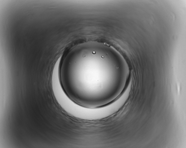 X0000099581252200805231544