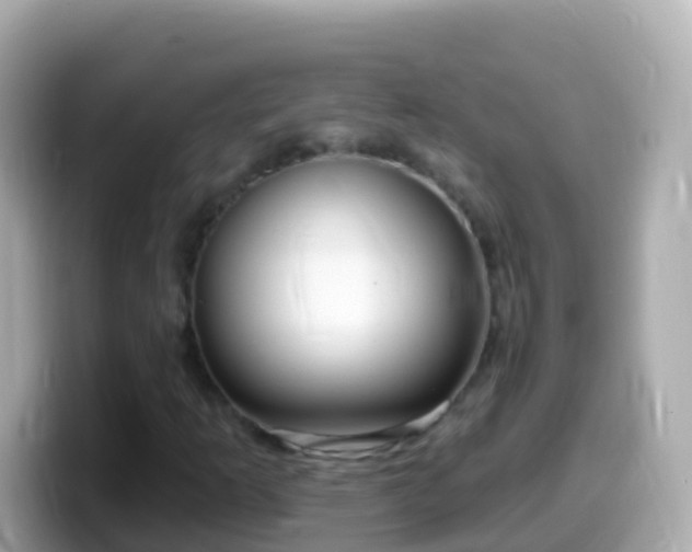 X0000099581253200805231544