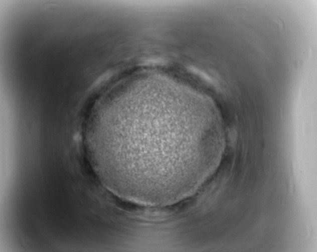 X0000099581254200805231544