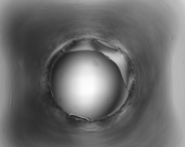 X0000099581256200805231544