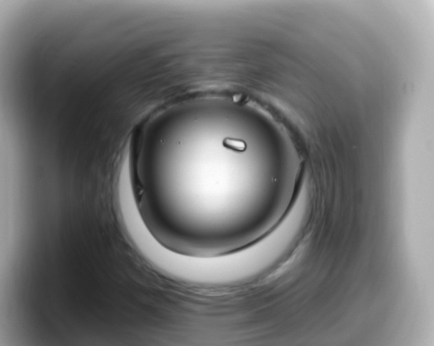X0000099581257200805231544