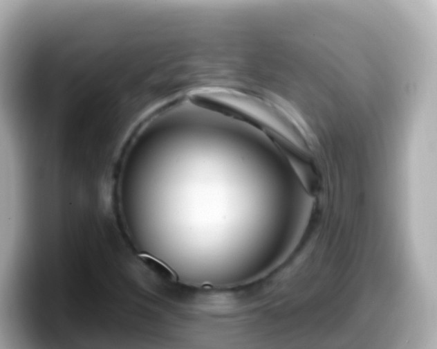 X0000099581260200805231544