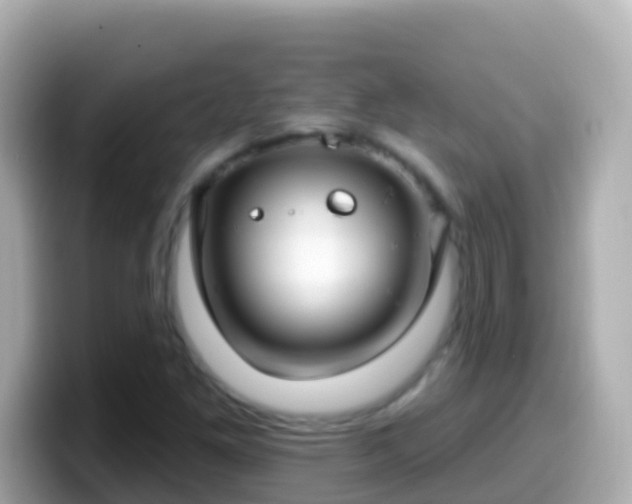 X0000099581261200805231544