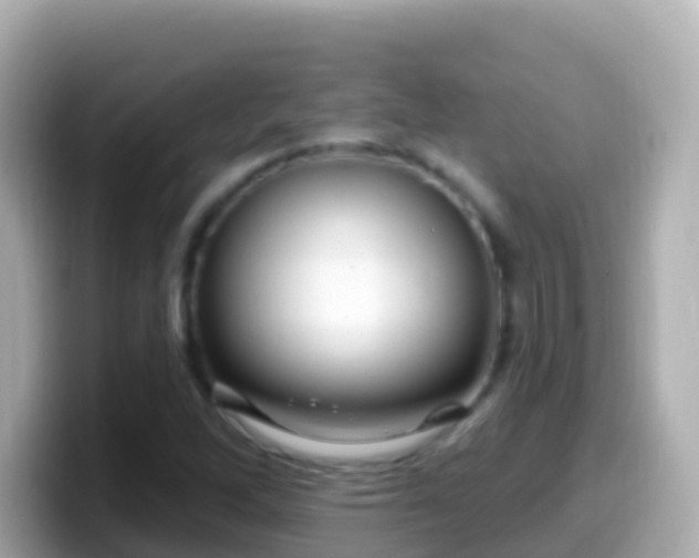 X0000099581262200805231544