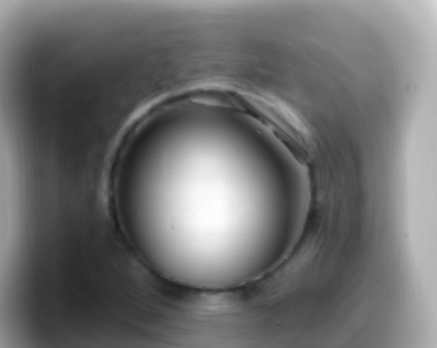 X0000099581264200805231543