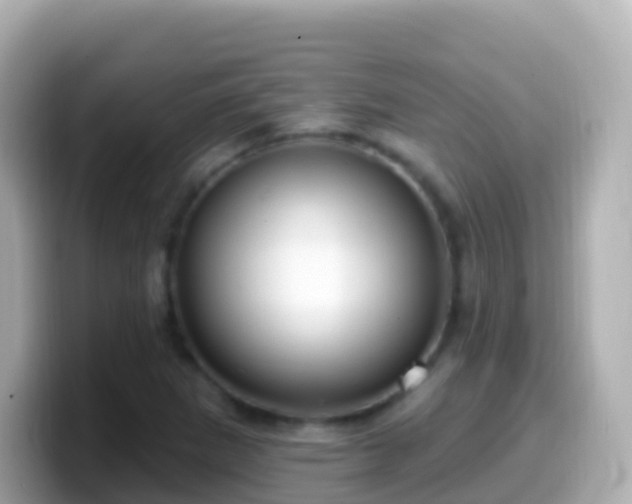 X0000099581265200805231543