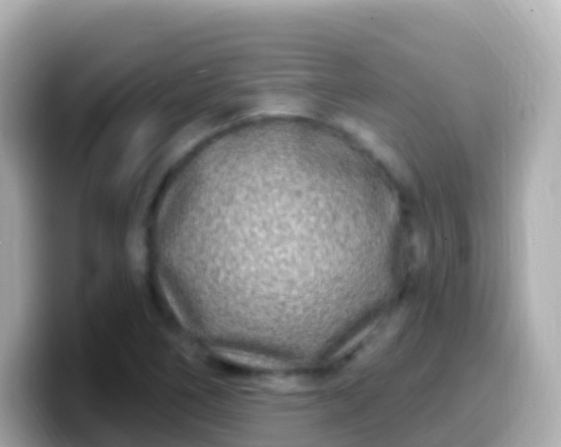 X0000099581266200805231543