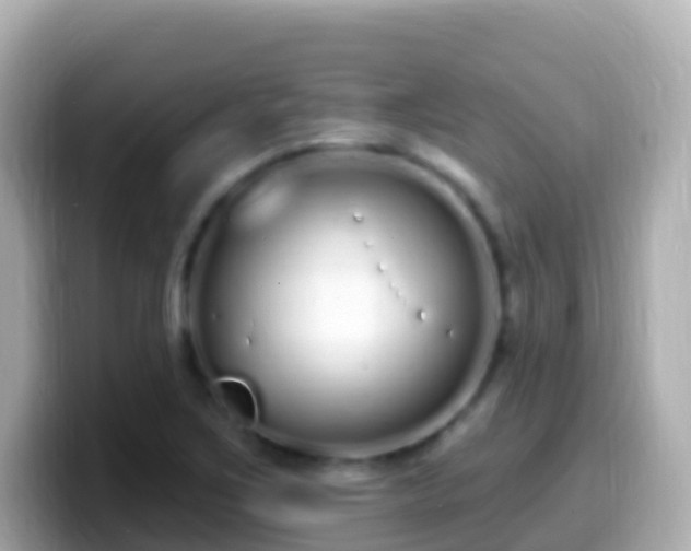 X0000099581267200805231543