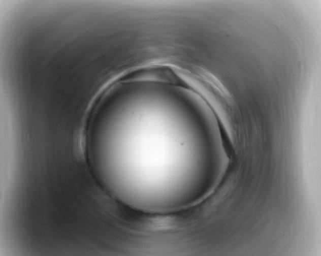 X0000099581268200805231543
