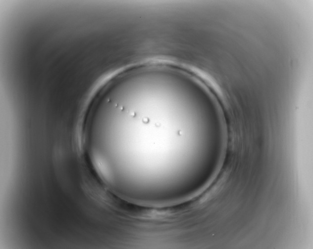 X0000099581271200805231543