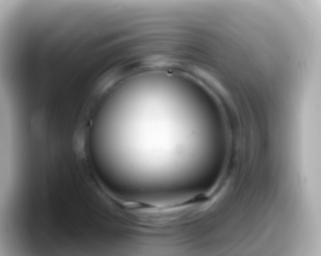X0000099581273200805231543