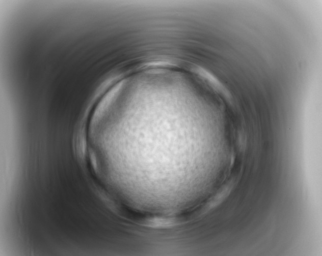 X0000099581274200805231543