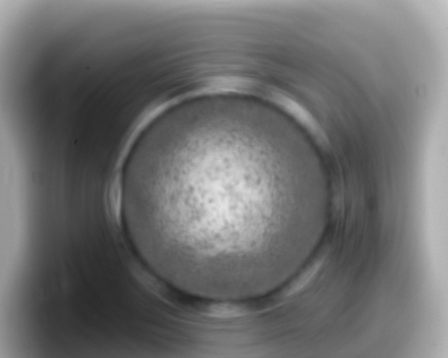 X0000099581275200805231543