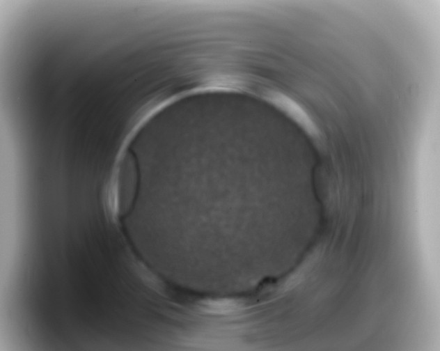 X0000099581276200805231543