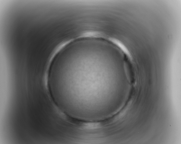 X0000099581277200805231543
