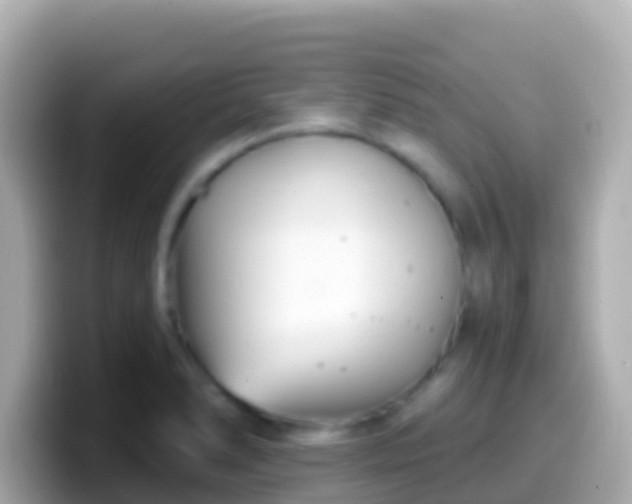X0000099581278200805231543