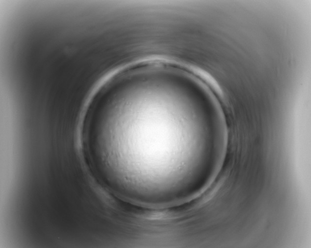 X0000099581279200805231543