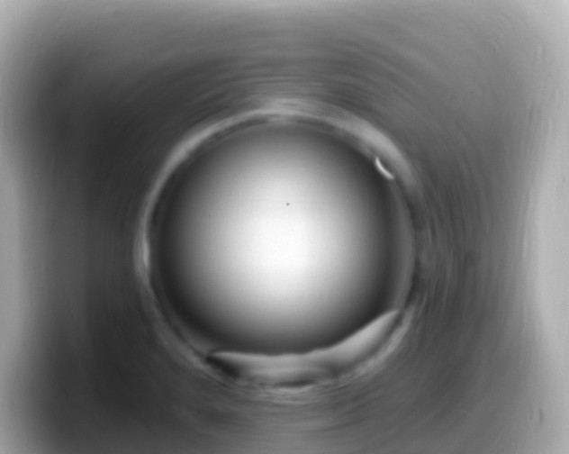 X0000099581280200805231543