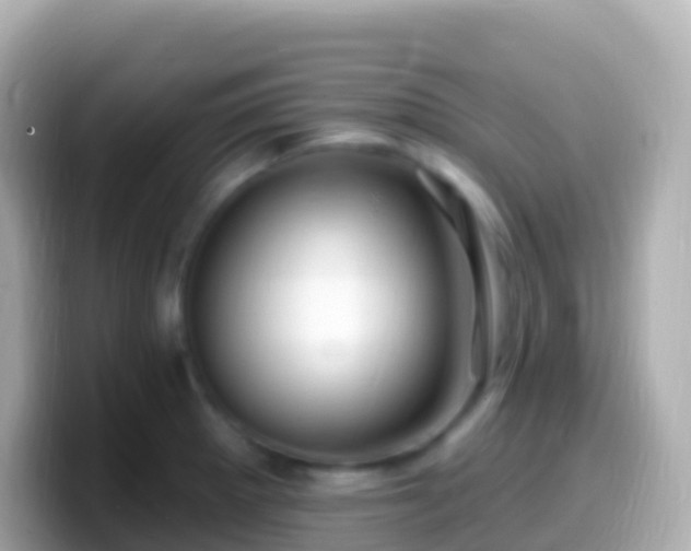 X0000099581281200805231543