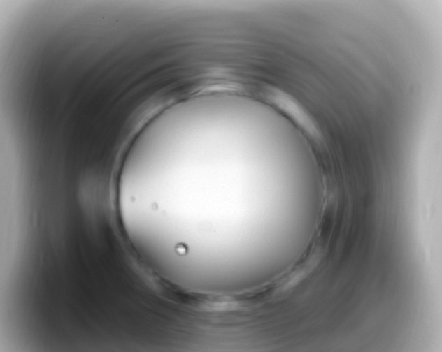 X0000099581282200805231543