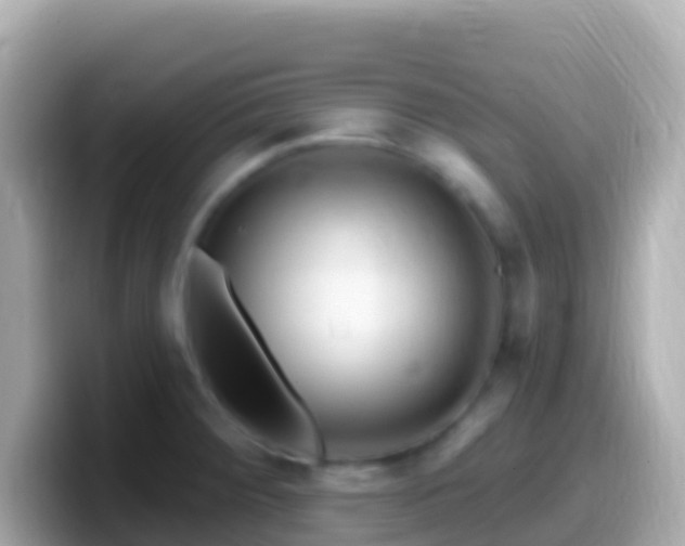 X0000099581284200805231543