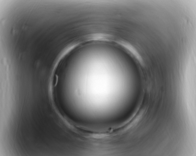 X0000099581285200805231543