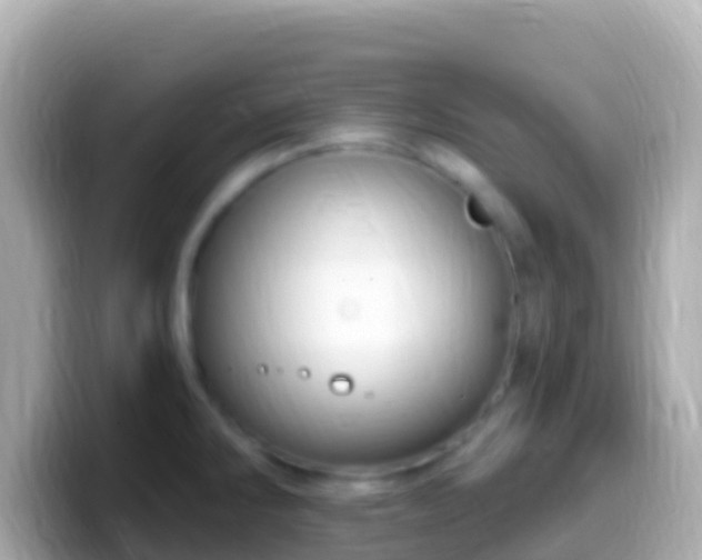 X0000099581286200805231543
