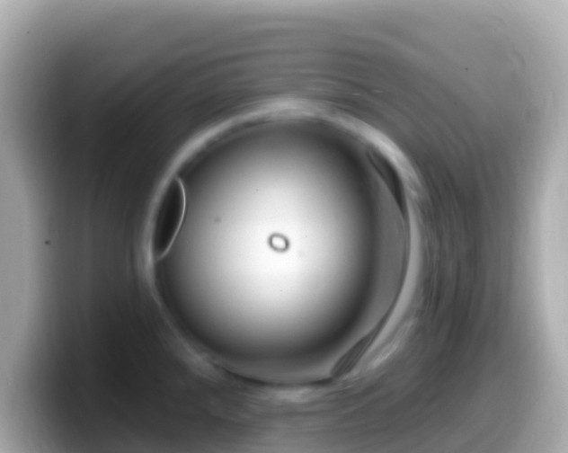 X0000099581288200805231543