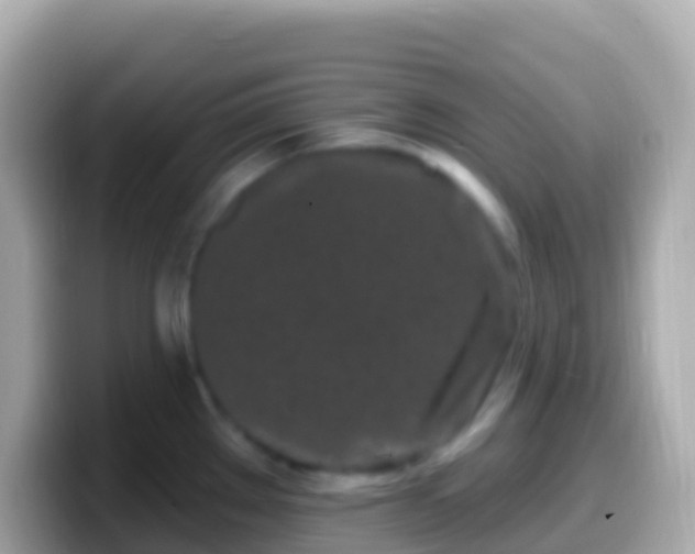 X0000099581289200805231543