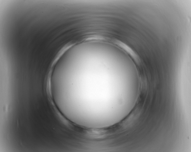 X0000099581290200805231543