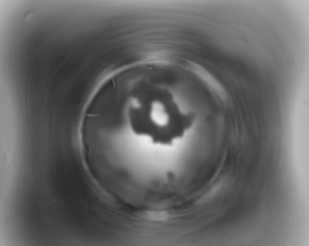 X0000099581291200805231543