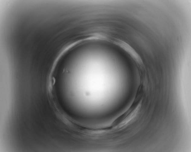 X0000099581292200805231543