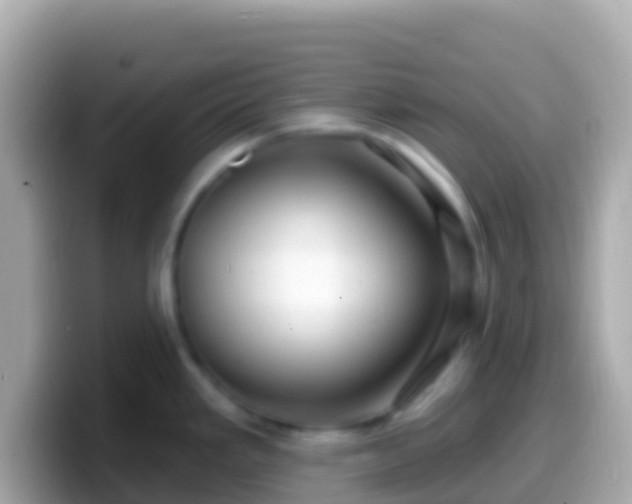 X0000099581293200805231543
