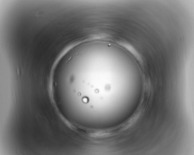 X0000099581294200805231543