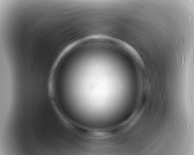 X0000099581295200805231543