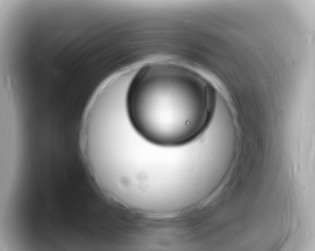 X0000099581296200805231543