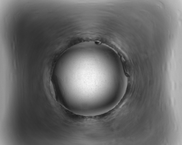 X0000099581297200805231543