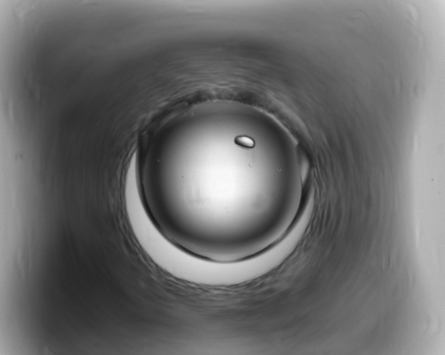 X0000099581298200805231543