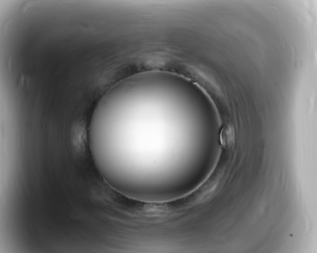 X0000099581299200805231543