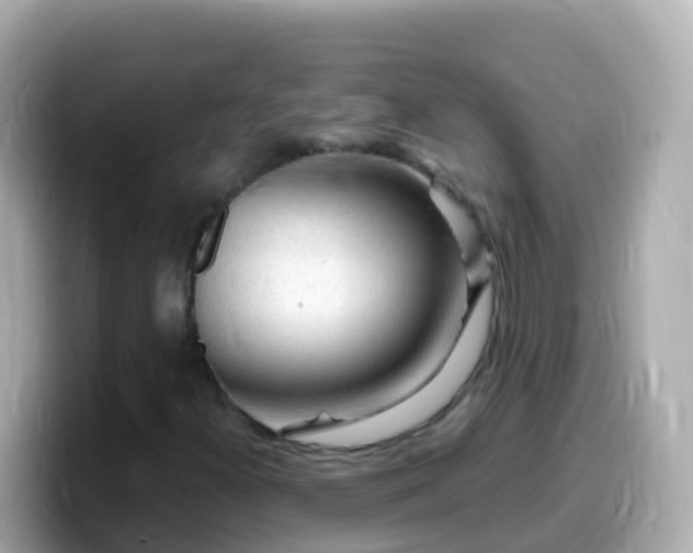 X0000099581300200805231543
