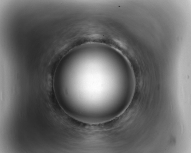 X0000099581301200805231543