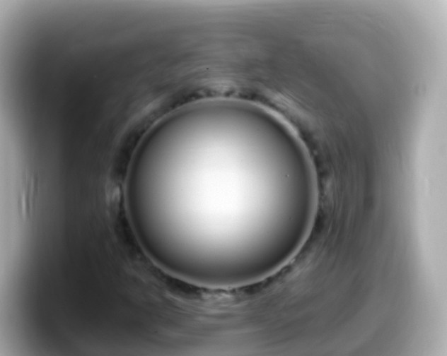 X0000099581302200805231543