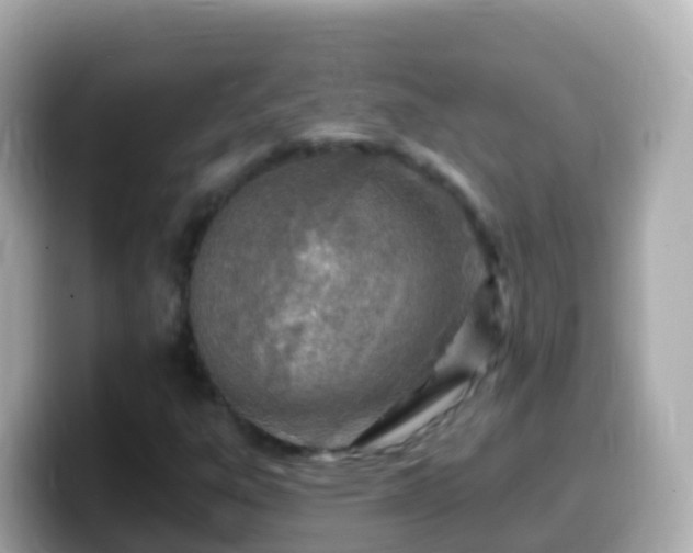 X0000099581303200805231543