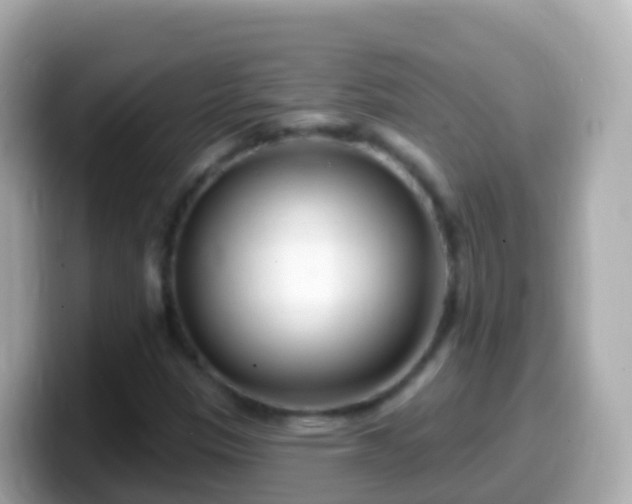 X0000099581305200805231543