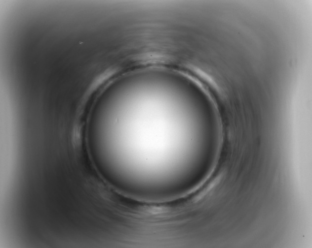 X0000099581309200805231543