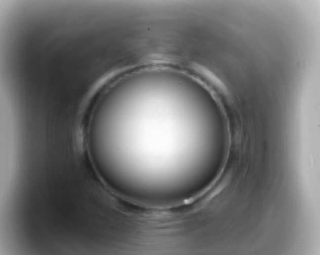 X0000099581310200805231543