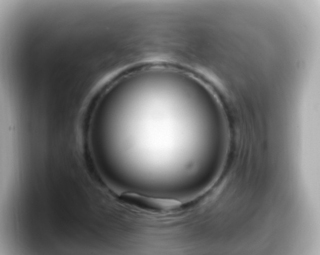 X0000099581311200805231543