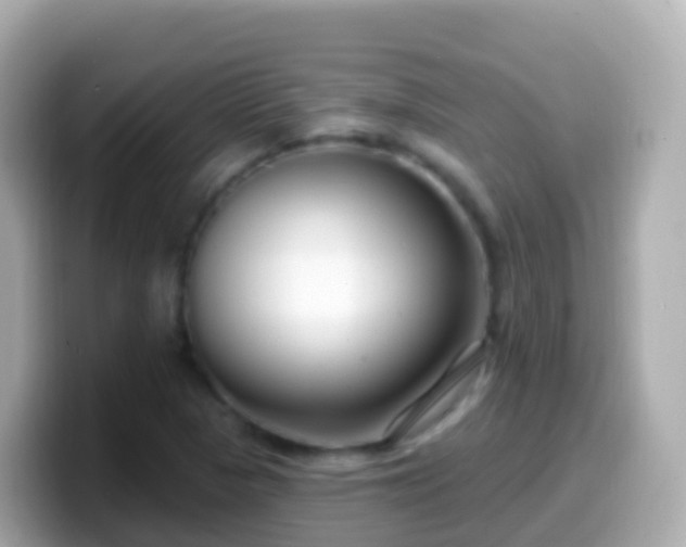 X0000099581313200805231543