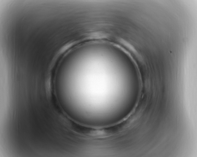 X0000099581315200805231543